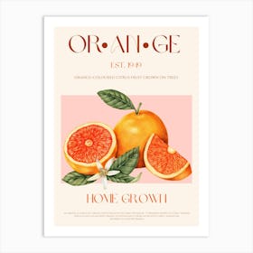 Orange Fruit Mid Century Art Print