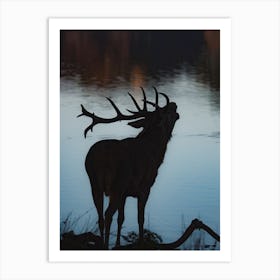 Lakeside Elk Art Print