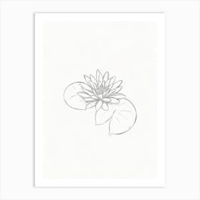 Water Lily Sketch Art Print