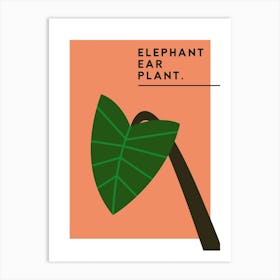 Elephant Ear Plant Art Print