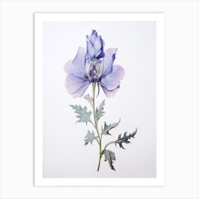 Pressed Flower Botanical Art Aconitum 1 Art Print