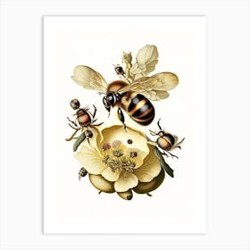 Bees 3 Vintage Art Print