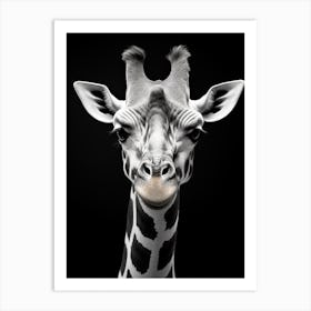 Black And White Photograph Of Giraffe Art Print