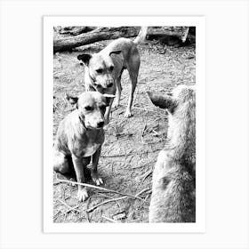 Black And White Dogs Art Print