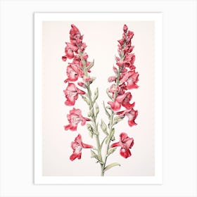 Snapdragons Flower Vintage Botanical 3 Art Print