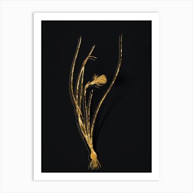 Vintage Daffodil Botanical in Gold on Black n.0033 Art Print