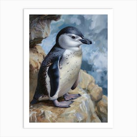 African Penguin Dunedin Taiaroa Head Oil Painting 2 Art Print