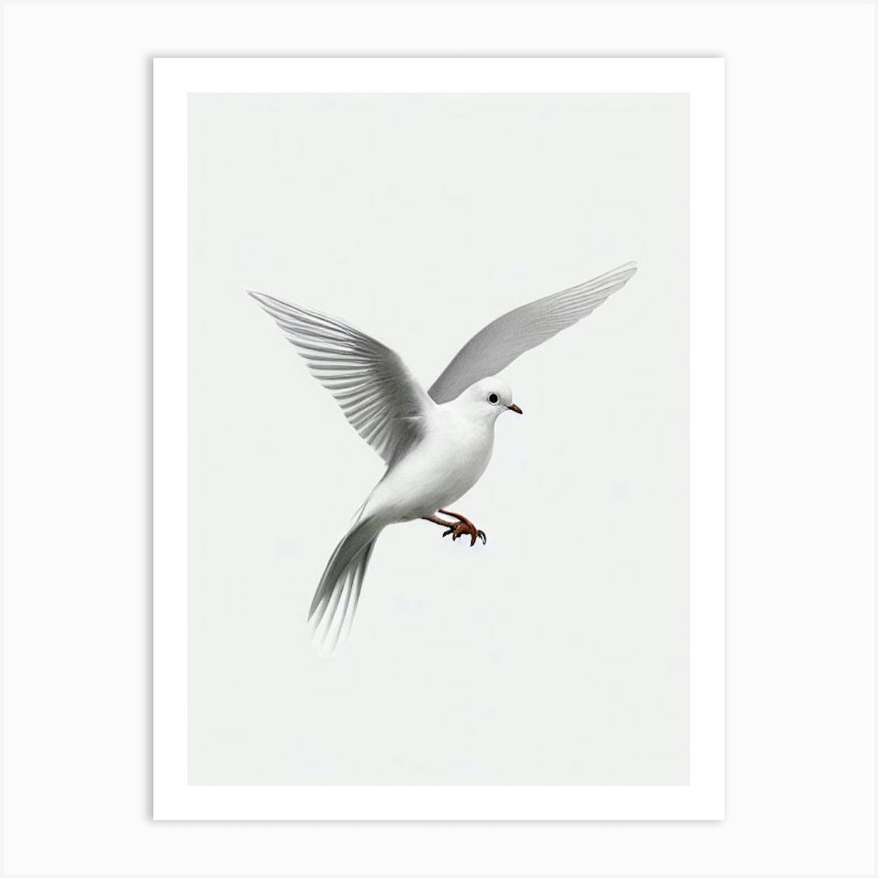Art dove Black and White Stock Photos & Images - Page 2 - Alamy