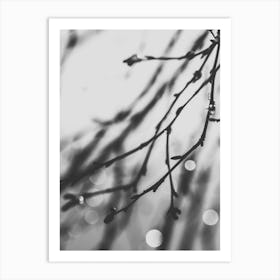 Black And White Twilight Art Print