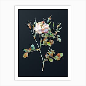 Vintage Anemone Flowered Sweetbriar Rose Botanical Watercolor Illustration on Dark Teal Blue n.0567 Art Print