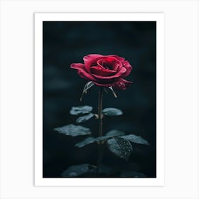 Dark Rose 101 Art Print