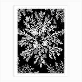 Fernlike Stellar Dendrites, Snowflakes, Linocut Art Print