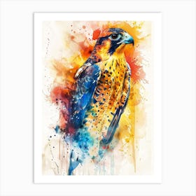 Falcon Colourful Watercolour 1 Art Print