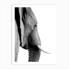 Elephant Line Art 3 Art Print