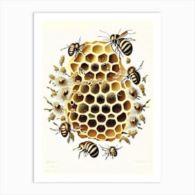 Colony Of Bees 7 Vintage Art Print