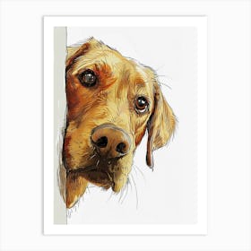 Golden Retriever Art Print