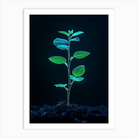 Plant Growing On Black Background 6 Art Print