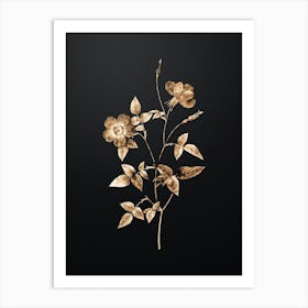 Gold Botanical Indica Stelligera Rose on Wrought Iron Black n.0568 Art Print