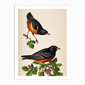 Blackbird James Audubon Vintage Style Bird Art Print