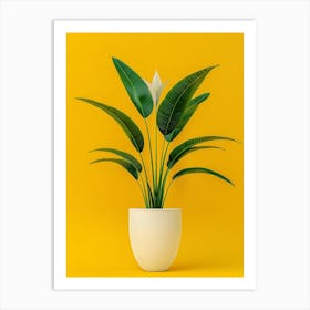 Plant In A Pot On Yellow Background Art Print