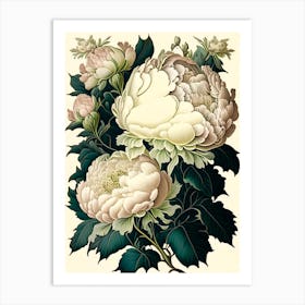 Duchesse De Nemours Peonies Pink Vintage Botanical Art Print