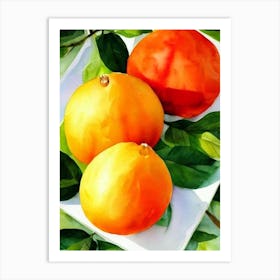 Pomelo Italian Watercolour fruit Art Print