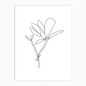 Japanese Magnolia Lineart Art Print