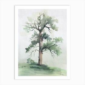 Yew Tree Atmospheric Watercolour Painting 4 Art Print