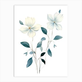 White Dogwood Flowers Art Print