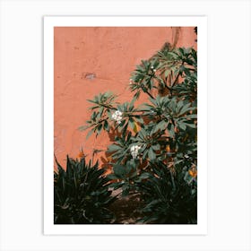 Flowers, Tenerife, Canary Islands Art Print