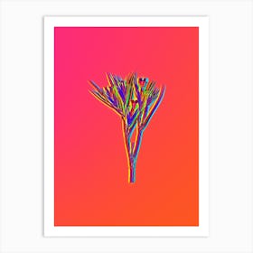 Neon Witsenia Maura Botanical in Hot Pink and Electric Blue Art Print