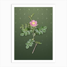 Vintage Pink Sweetbriar Rose Botanical on Lunar Green Pattern n.1030 Art Print