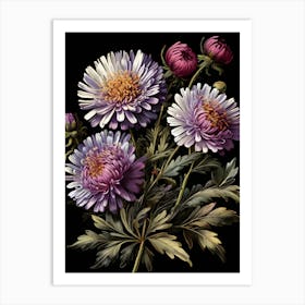 Asters Wildflower 1 Art Print