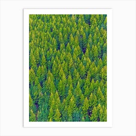 Verdant Canopy Lush Pine Forest In Vibrant Green Hues Art Print