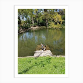 Ducks In A Pond Art Print