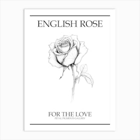 English Rose Black And White Line Drawing 9 Poster Art Print