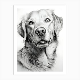 Loyal Heart The Dog S Gaze Art Print