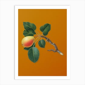 Vintage Pear Botanical on Sunset Orange n.0600 Art Print