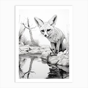Fennec Fox Near A Stream Drawing Art Print