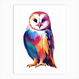 Colourful Geometric Bird Barn Owl 1 Art Print
