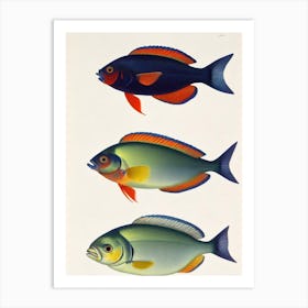 Surgeonfish Vintage Poster Art Print