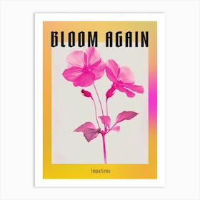 Hot Pink Impatiens 1 Poster Art Print