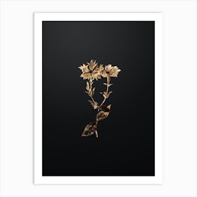 Gold Botanical Bunge's Lychnis Flower on Wrought Iron Black Art Print