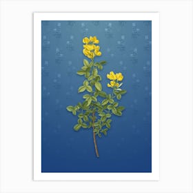 Vintage Common Cytisus Botanical on Bahama Blue Pattern n.1502 Art Print