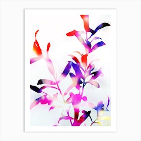 Florescence Viola Art Print