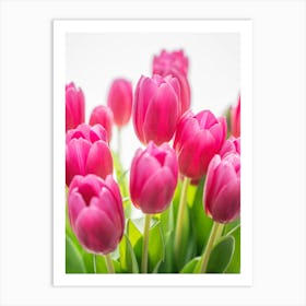 Floral tulips in neon pink - spring flower nature and travel photography by Christa Stroo Photography Art Print