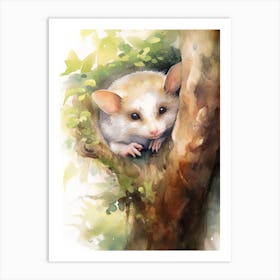 Light Watercolor Painting Of A Sleeping Possum 4 Art Print