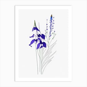 Larkspur Floral Minimal Line Drawing 3 Flower Art Print