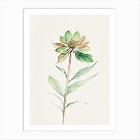 Zinnia Leaf Minimalist Watercolour 1 Art Print
