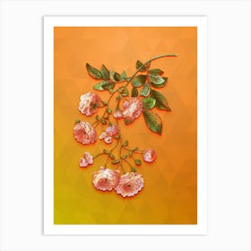 Vintage Pink Rambler Roses Botanical Art on Tangelo Art Print